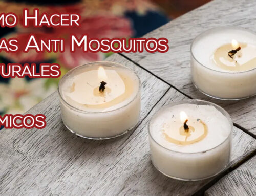 Como Hacer Velas Anti Mosquitos Natural Sin Químicos